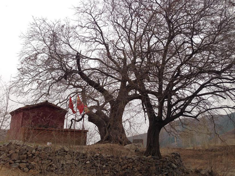 文化氣息溢滿村