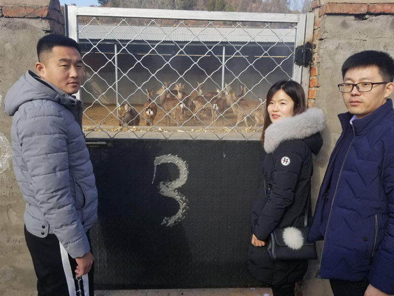 工作隊的三個年輕人1