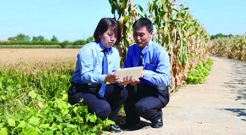 辦案檢察官對(duì)調(diào)查中發(fā)現(xiàn)的破損、開裂、下陷路段的修復(fù)情況進(jìn)行巡查監(jiān)督(1)