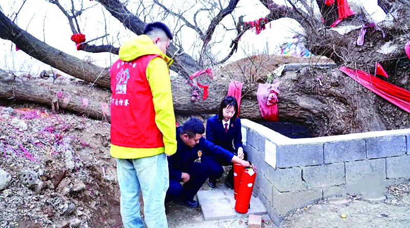 檢察官檢查古樹(shù)周邊消防設(shè)施