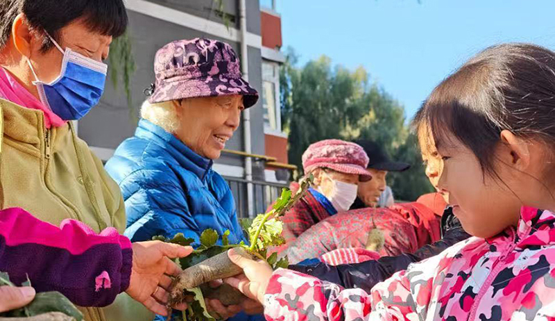 1社區(qū)工作者帶領(lǐng)孩子們把在沈陽(yáng)市沈河區(qū)翠塔社區(qū)兒童活動(dòng)空間“一米菜園”收獲的蔬菜送給轄區(qū)老年人