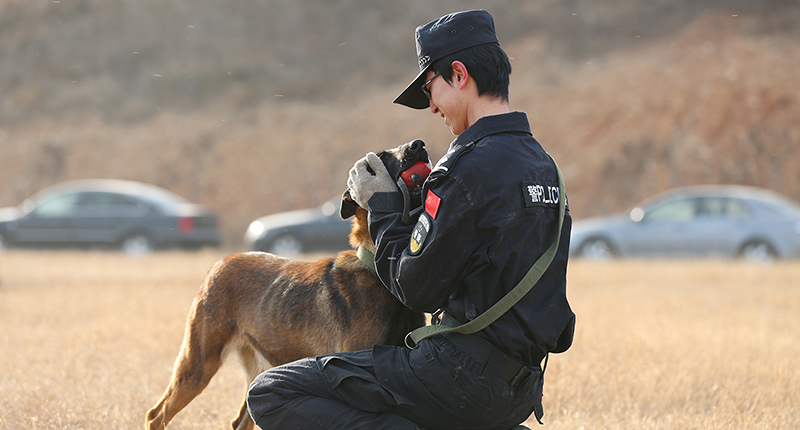 訓(xùn)導(dǎo)員與警犬親密互動