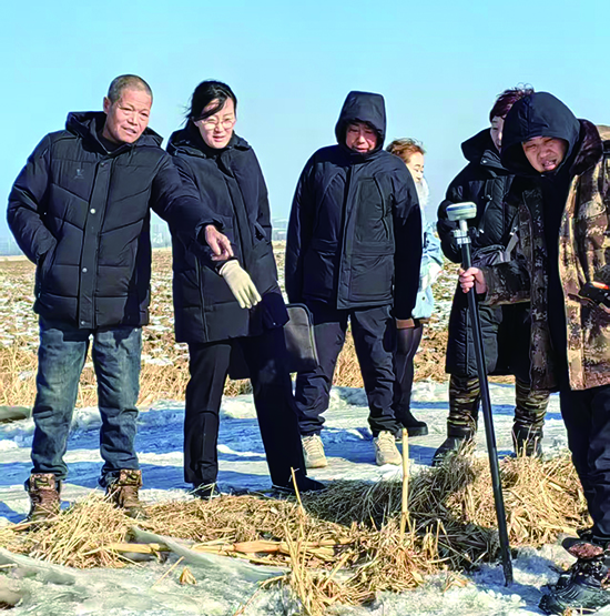 3蘇家屯區(qū)法院林盛法庭法官王菲(左二)組織土地糾紛案件的雙方當事人和村干部一起查找土地四至邊界