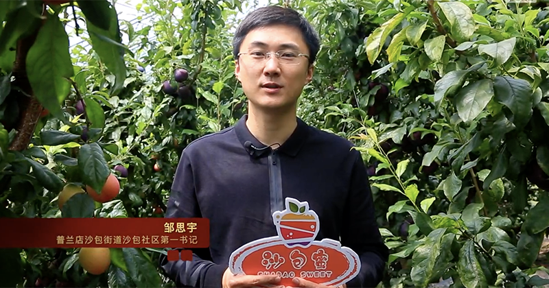 第五屆平安中國(guó)“三微”大賽遼寧獲獎(jiǎng)最佳短視頻展播 |《沙包子的特色水果》